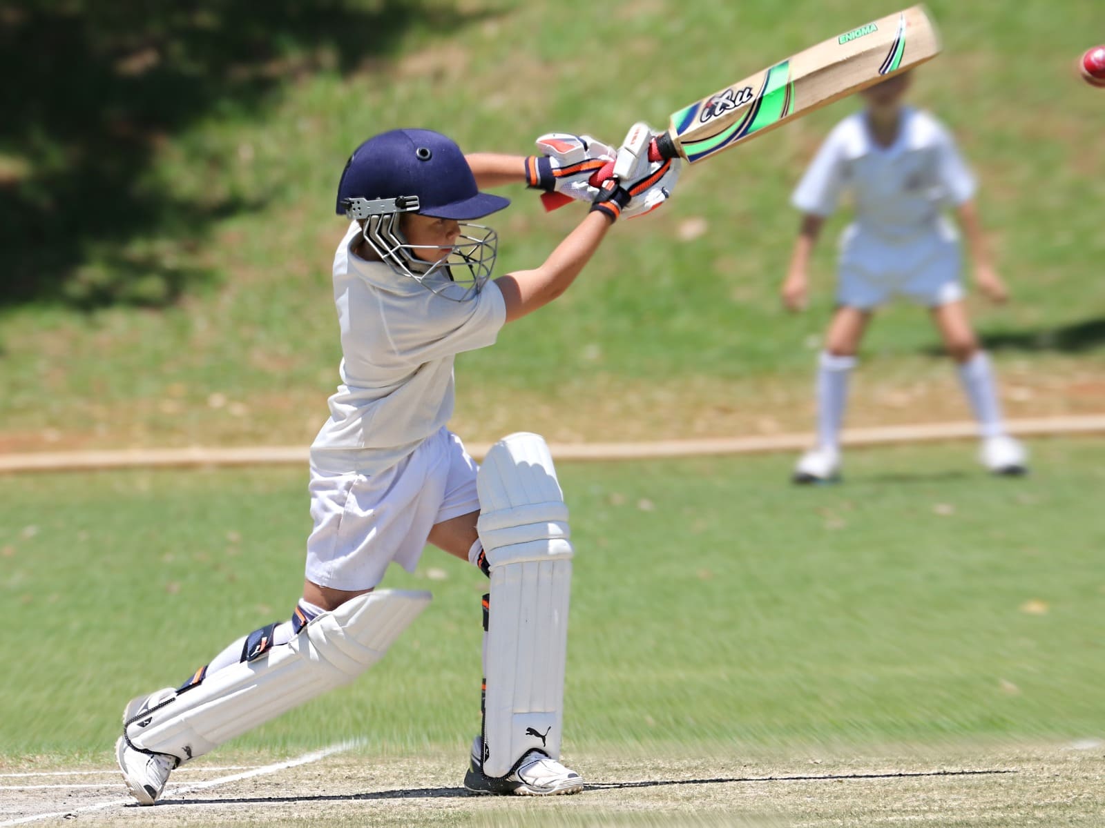 Affordable Housing Project in Pataudi