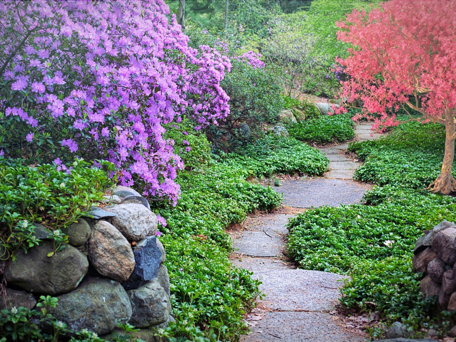 1.5 Acre Central Park at YCON Platinum Heights